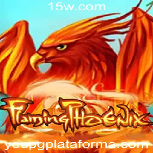 youpg plataforma Bingo online